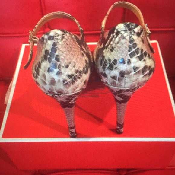 AUTHENTIC COACH SHOE - PRINTED SNAKE - Picture 4 of 5